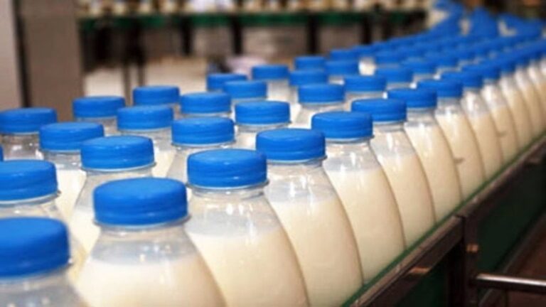 Rosja wstrzymuje import produktów mlecznych z Kirgistanu