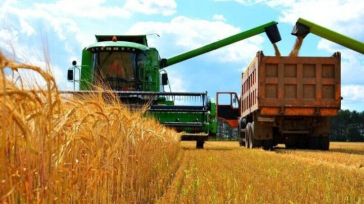 Kazachstan liczy na dalszy wzrost eksportu zbóż do Chin